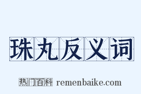 珠丸反义词是什么意思的图片